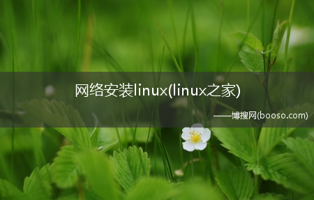 网络安装linux(linux之家)