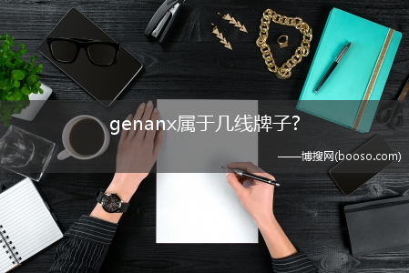 genanx属于几线牌子?(genanx)