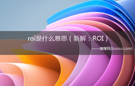 新解：ROI_roi是什么意思?(roi)