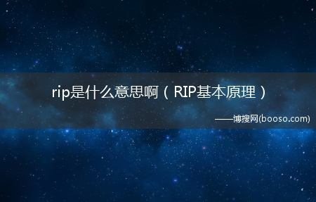 RIP基本原理_rip是什么意思啊?(rip)