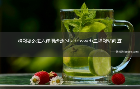 shadowweb血腥网站截图_暗网怎么进入详细步骤?(暗网怎么进入详细步骤)