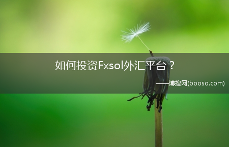 怎么投资Fxsol外汇平台？?(fxsol)
