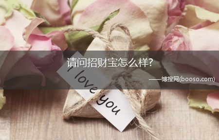 请问招财宝怎么样?(招财宝怎么样)