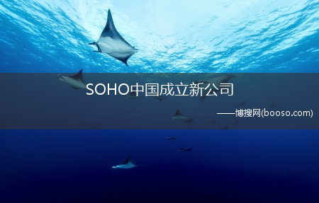 注册资本为150万美元_SOHO中国成立新公司(soho成立新公司)
