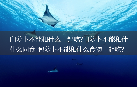 白萝卜不能和什么一起吃?白萝卜不能和什么同食_包萝卜不能和什么食物一起吃?