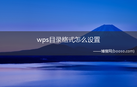wps目录格式怎么设置（使用惠普战66电脑演示,适用于windows10家庭中文版系）