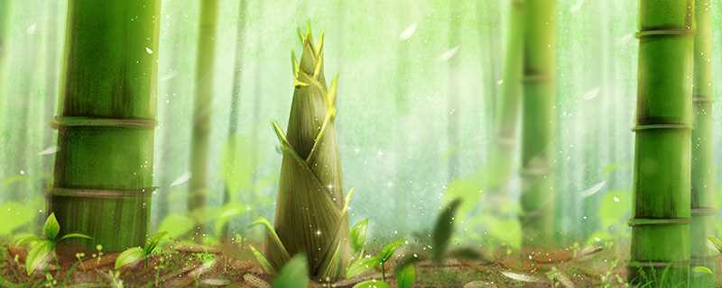 具有竹子精神的的人的故事(竹子代表着哪些品质和精神)