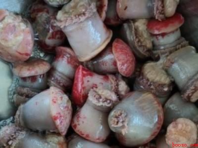 海葵怎么处理才能吃