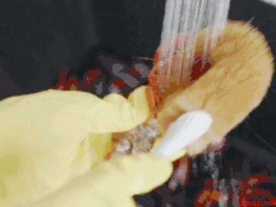 清水龙虾怎么煮好吃又简单