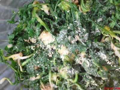 蒲公英怎么做菜好吃