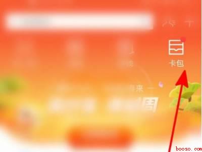 支付宝卡券在哪里看（演示机型:Iphone 12）