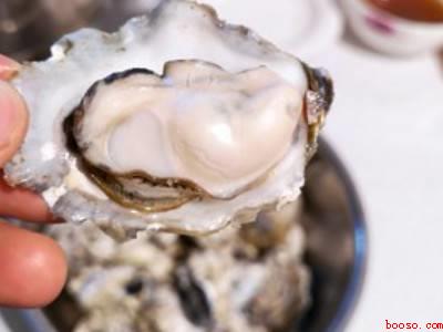 海蛎子蘸料怎么调好吃