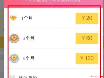 情黄是怎么开通的（演示机型:Iphone 12）