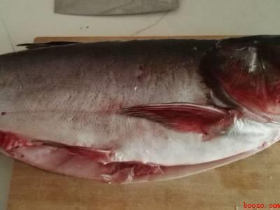 鲢鳙怎么做才好吃