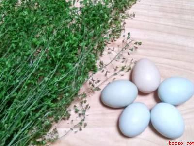 三月三煮鸡蛋怎么煮