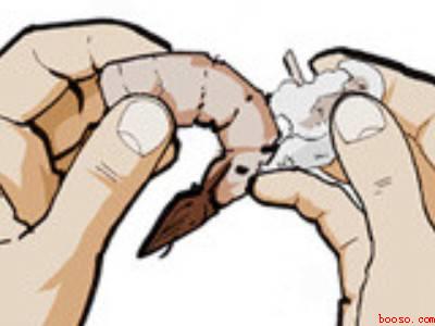 活虾怎么剥出虾仁来