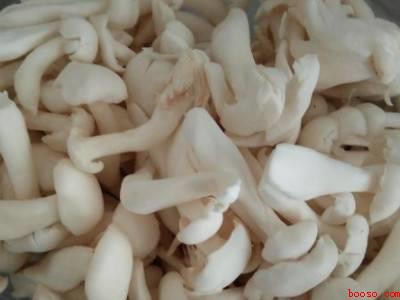 白雪菇怎么做好吃