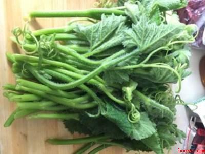 南瓜头怎么炒才好吃