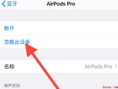 airpods（演示机型:Iphone 12）