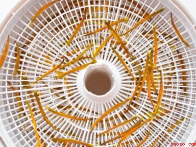 金针怎么吃才好吃