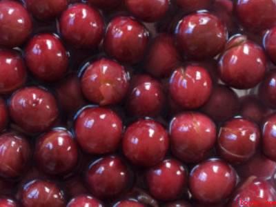 李子怎么晒干才好吃