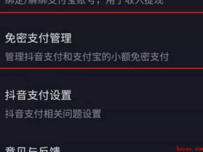 怎样关掉抖音免密支付（演示机型:Iphone 12）