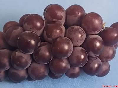 葡萄怎么放冰箱保鲜