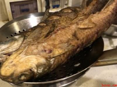 胭脂鱼怎样做好吃