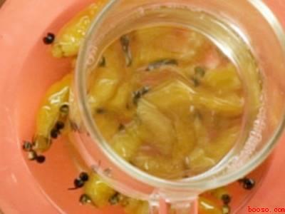 白萝卜怎么腌好吃又脆