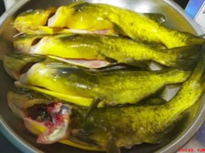 黄骨鱼怎么做好吃又简单