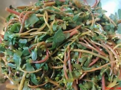 马齿苋的做法