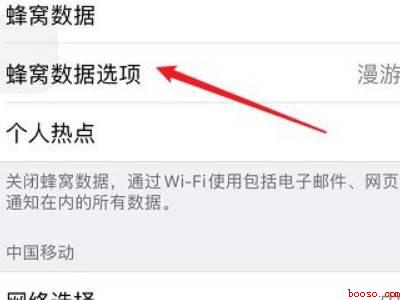 苹果怎么设置4g网络模式