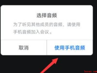 腾讯会议自动连接音频（演示机型:Iphone 13）