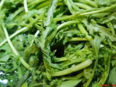 茼蒿怎么做好吃又简单