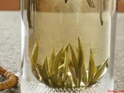 白毫银针如何冲泡