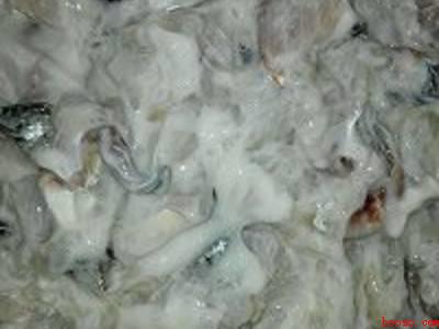 鱼下锅前怎么腌制