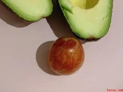 牛油果核怎么吃