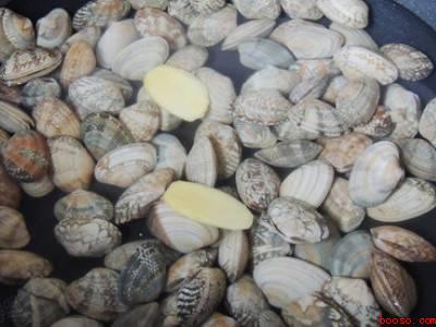 鲜花甲怎么做好吃（鲜花甲怎么做好吃共有5步,可做爆炒）