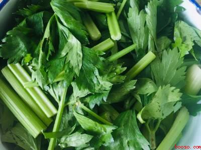 浆水怎么做又酸又好吃