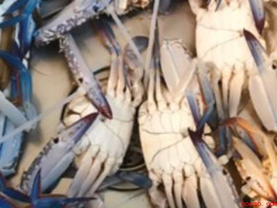 蒸花蟹要多少分钟