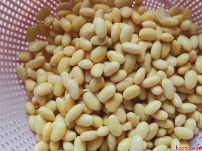 黄豆来不及泡怎么办