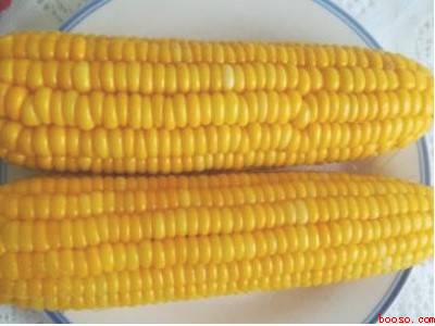 生玉米怎么煮