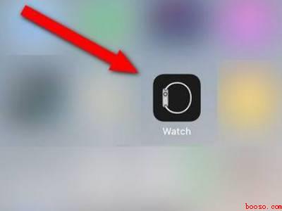 苹果watch解除绑定手机（演示机型:Iphone 12）