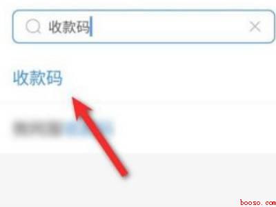 新版支付宝收款码在哪里（演示机型:Iphone 12）