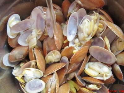 怎么吃花甲(怎么吃花甲共有3步,花甲可做成爆炒花甲)