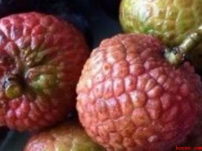 荔枝冷冻保存方法