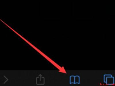 safari怎么查早期历史