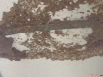 发现马蜂窝怎么处理