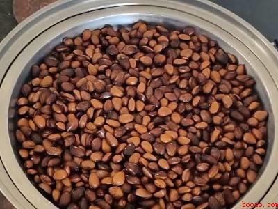 家庭怎样炒松子能开口（炒松子炒开口的方法需要3个步骤,需注意掌握火候）