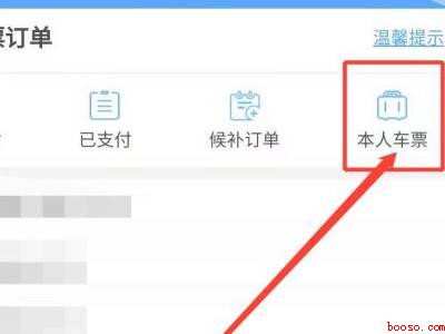 怎么查高铁票（演示机型:Iphone 12）